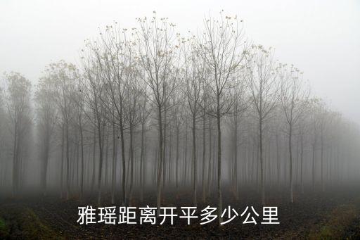 雅瑤距離開平多少公里