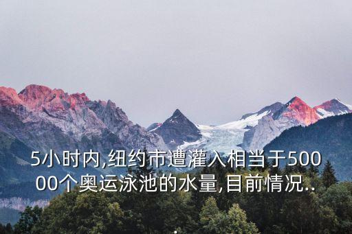 5小時(shí)內(nèi),紐約市遭灌入相當(dāng)于50000個(gè)奧運(yùn)泳池的水量,目前情況...