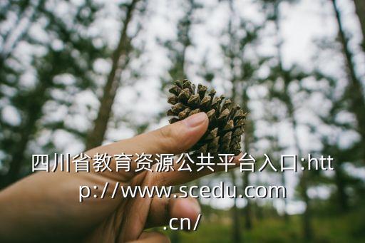 四川省教育資源公共平臺入口:http://www.scedu.com.cn/
