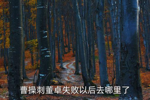 曹操刺董卓失敗以后去哪里了