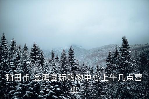 金鷹國際,金鷹國際購物中心有法國樂高品牌店嗎?