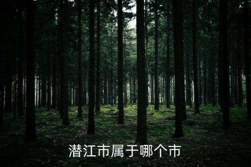 潛江市屬于哪個市
