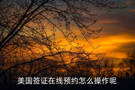 美國(guó)簽證網(wǎng)站,如何預(yù)約美國(guó)簽證?