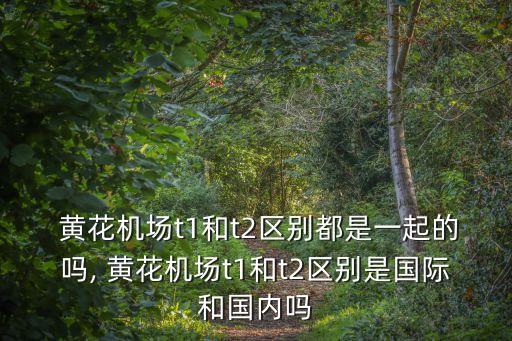  黃花機場t1和t2區別都是一起的嗎, 黃花機場t1和t2區別是國際和國內嗎