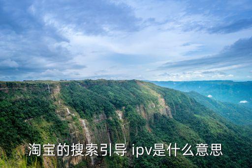 淘寶的搜索引導(dǎo) ipv是什么意思