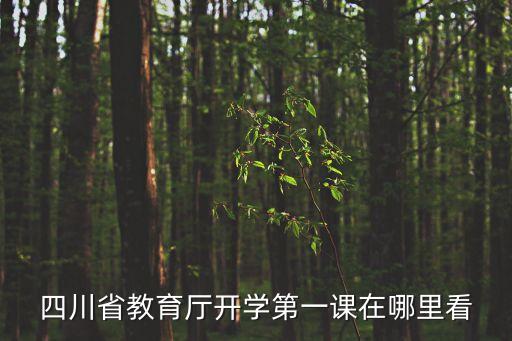 四川省教育廳開學第一課在哪里看