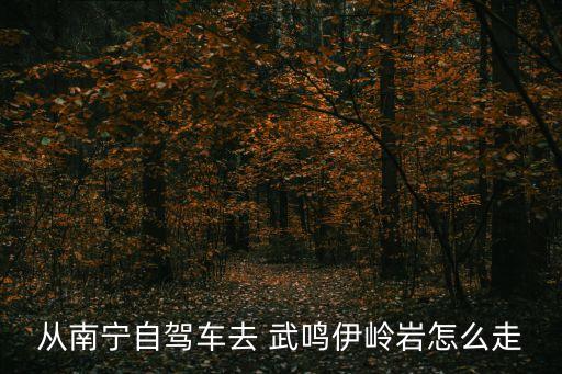 武鳴伊嶺巖,武鳴伊嶺巖風(fēng)景區(qū)介紹:形成于一萬年前伊斯特巖溶洞