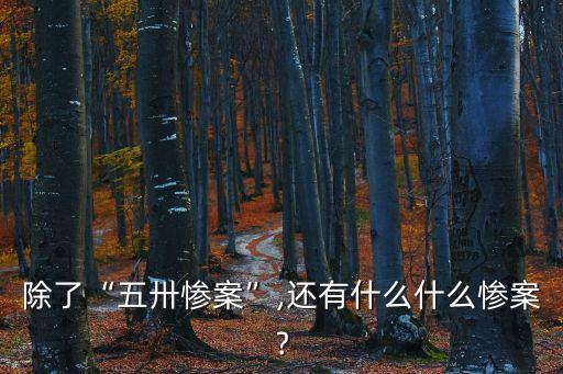 濟南五卅慘案,南京慘案三.二四慘案