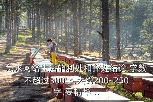 急求網絡生活的利處和弊處結論,字數不超過300字,大約200~250字,要精華...
