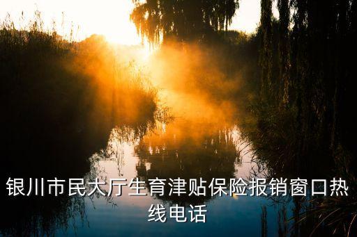 生育津貼咨詢電話,銀川生育津貼咨詢電話0951
