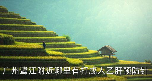 廣州鷺江附近哪里有打成人乙肝預防針
