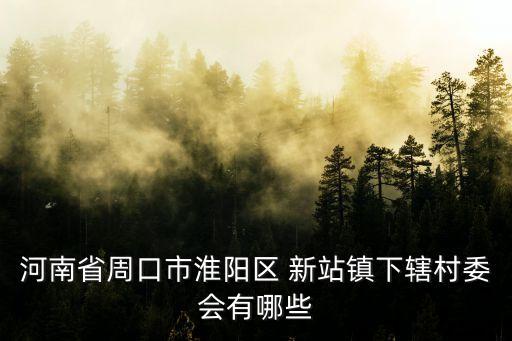 新站鎮,河南省周口市新站鎮下轄村委會有哪些?