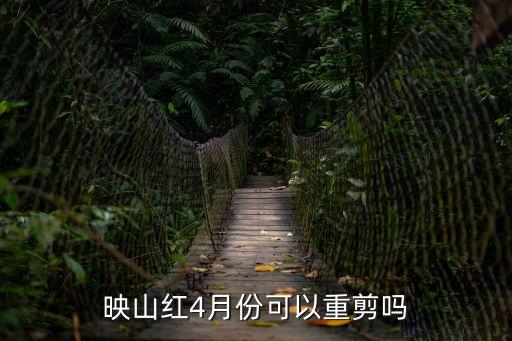 映山紅4月份可以重剪嗎