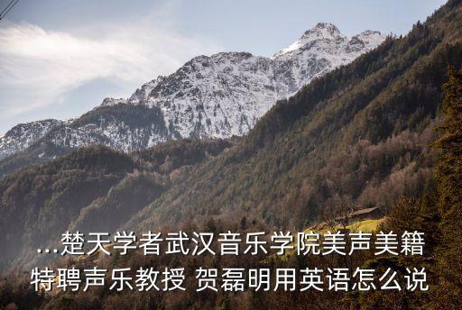 賀磊明,賀磊明新年賀詞