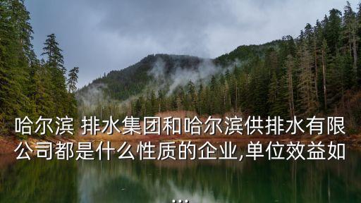 排水集團,哈爾濱供排水集團是什么性質的企業?