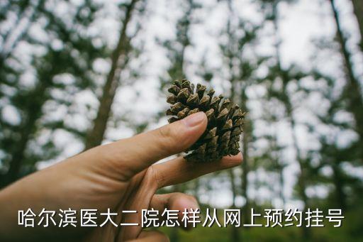省二院預約掛號,哈爾濱醫大二院網上掛號怎么從網上預約掛號