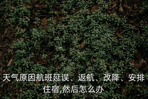 天氣原因航班延誤、返航、改降、安排住宿,然后怎么辦