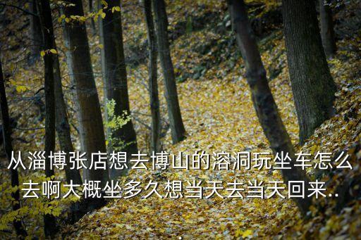 從淄博張店想去博山的溶洞玩坐車怎么去啊大概坐多久想當天去當天回來...