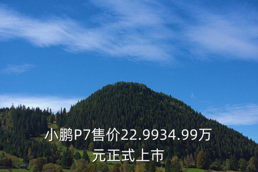 小鵬p7多少錢,小鵬汽車p7最新款落地價多少?