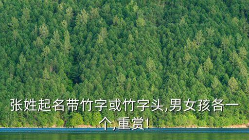 張箐,雨中彈箏絕代雙驕3小魚和張箐