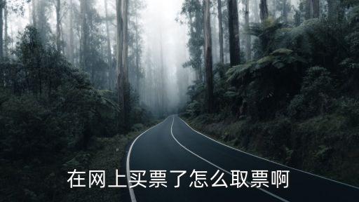 電子票怎么取票,電子客票怎么領取?自助取票機怎么取票?