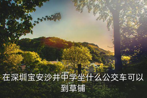 深圳沙井中學(xué),沙井中學(xué)和中澳學(xué)校高中哪個好一點?