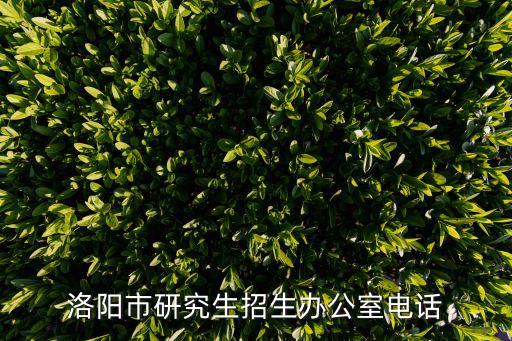 河南省招生辦公室電話,河南招生辦公室電話咨詢電話為:0371