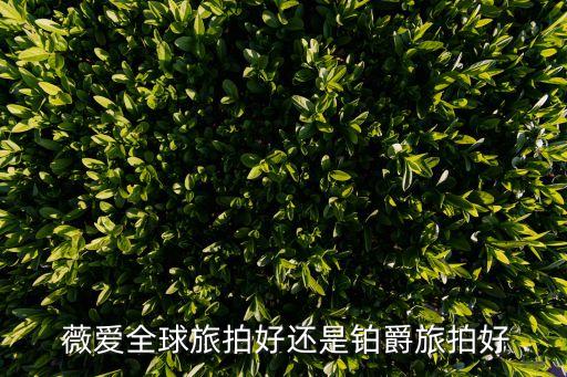  薇愛全球旅拍好還是鉑爵旅拍好