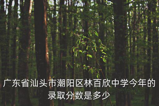 廣東省汕頭市潮陽區(qū)林百欣中學(xué)今年的錄取分數(shù)是多少