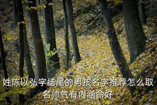 陳學(xué)弘,姓陳以弘字結(jié)尾男孩名字推薦怎么取名帥氣有內(nèi)涵命好