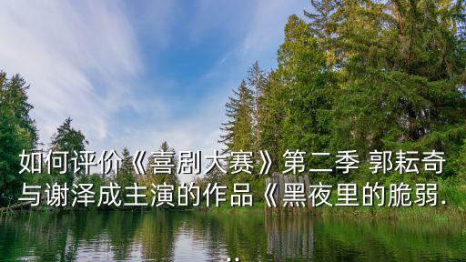 如何評價《喜劇大賽》第二季 郭耘奇與謝澤成主演的作品《黑夜里的脆弱...