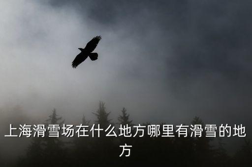 上海滑雪場在什么地方哪里有滑雪的地方