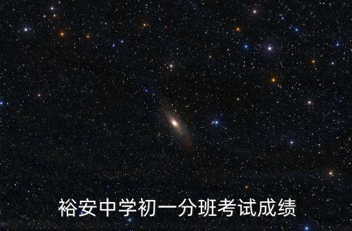  裕安中學初一分班考試成績