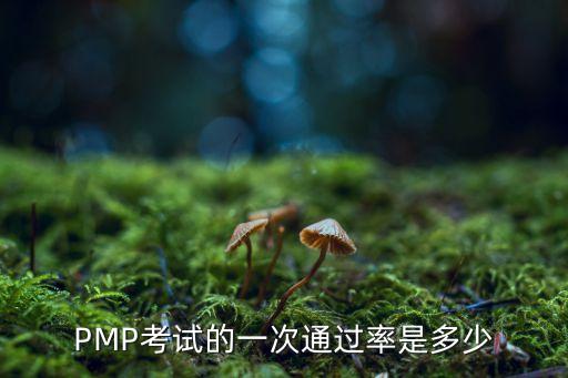 pmp通過率,國內pmp考試通過率高于國外同類型課程