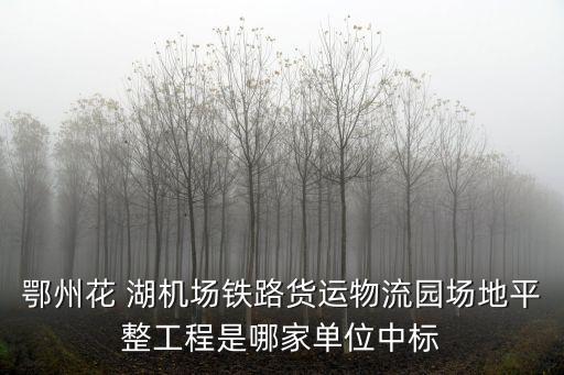 鄂州花 湖機場鐵路貨運物流園場地平整工程是哪家單位中標