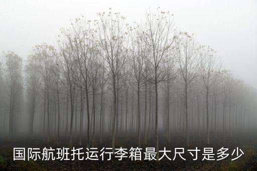 國際航班托運行李箱最大尺寸是多少