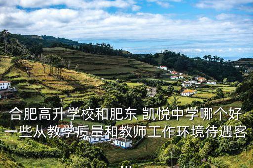 合肥高升學(xué)校和肥東 凱悅中學(xué)哪個好一些從教學(xué)質(zhì)量和教師工作環(huán)境待遇客...