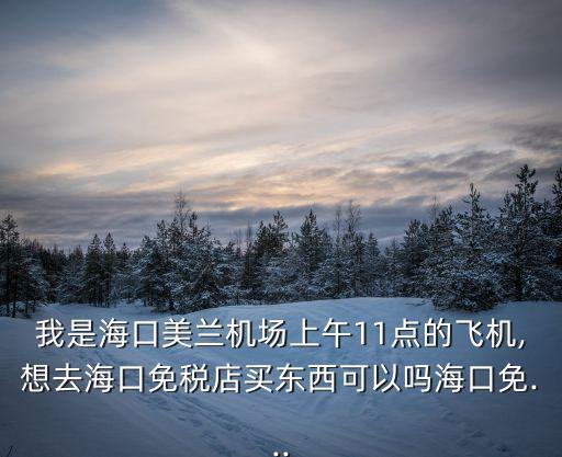 美蘭機場免稅店,海口美蘭機場免稅店在哪里?營業時間是24小時的嗎?