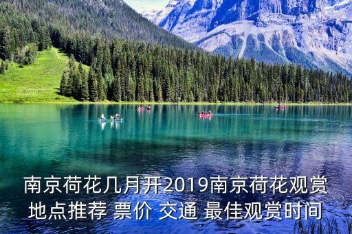 蓮花廣場,廣西花蓮景區(qū)怎么坐公交?