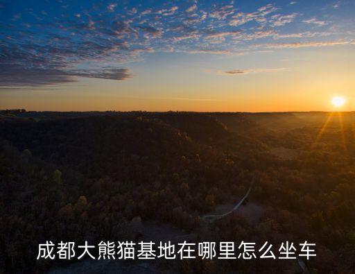 四川熊貓基地,四川大熊貓基地有幾個?