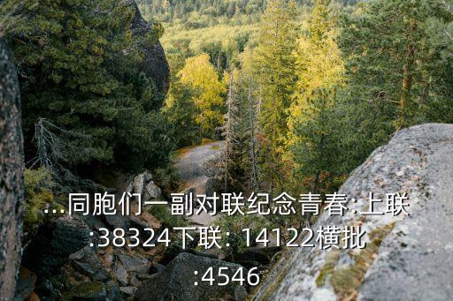 ...同胞們一副對聯(lián)紀念青春:上聯(lián):38324下聯(lián): 14122橫批:4546