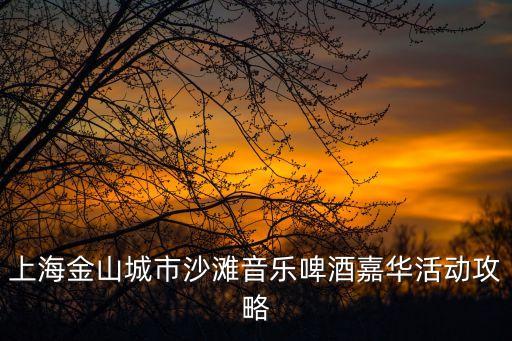 上海金山城市沙灘音樂啤酒嘉華活動(dòng)攻略