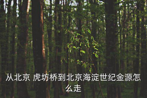 從北京 虎坊橋到北京海淀世紀金源怎么走
