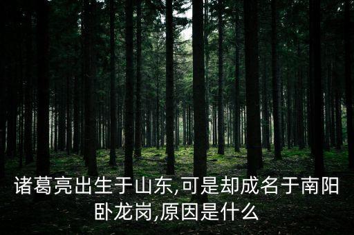 南陽諸葛,諸葛亮在南陽還是襄陽?