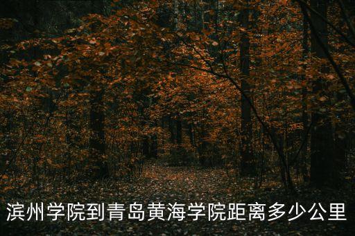 濱州學(xué)院到青島黃海學(xué)院距離多少公里