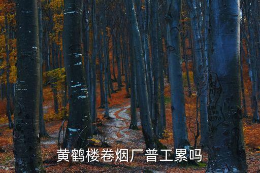 黃鶴樓卷煙廠普工累嗎