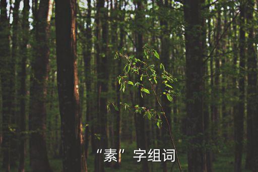 “素”字組詞