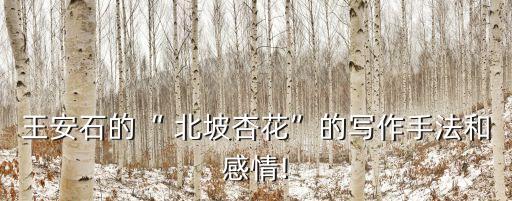 北坡杏花,王安石的北陂杏花詩歌形象:花影妖嬈各占春