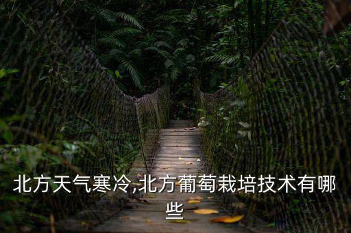 紫甜葡萄,適應(yīng)東北種植的早熟葡萄苗有紅巴拉多和黑木拉多