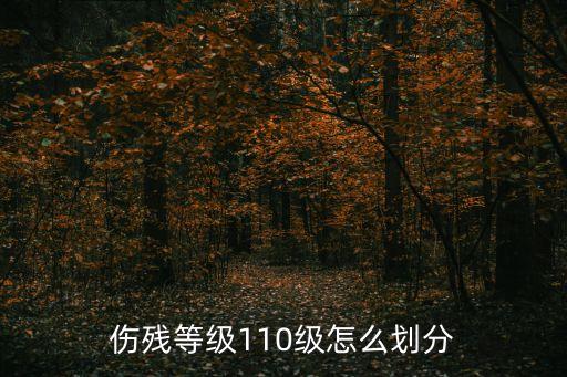 傷殘等級110級怎么劃分